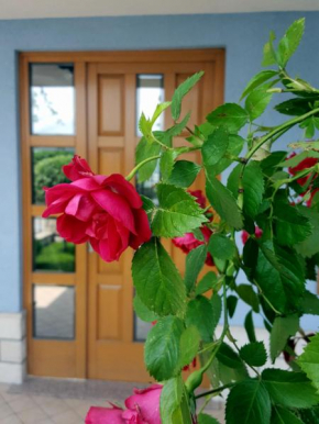 Apartma La Rosa, Koper